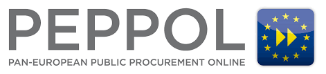 Facturare prin facturi PEPPOL 100 / lună